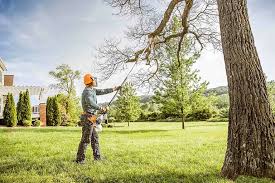  Blacksburg, VA Tree Care Services Pros