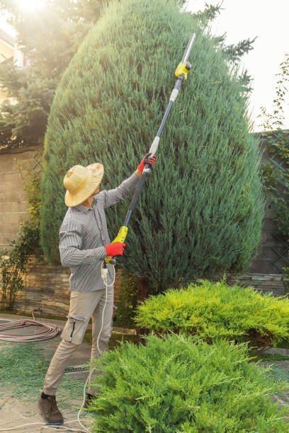 Best Leaf Removal  in Blacksburg, VA